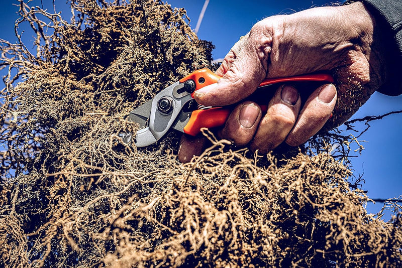 Original LÖWE 15 Anvil Pruning Shears 15.107 with Bypass Geometry for Small to Medium Hands - Curved, Non-Stick Coated Blade Ideal for Cutting Hard Wood like Linden, Spruce, Larch, and Oak Inward curved handle