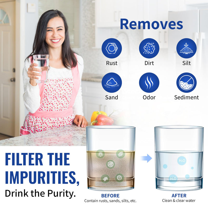 CFS – 10" x 2.5" Sediment Water Filter Cartridges Compatible with Campbell 1SS Models – 5 Micron Replacement Filter – Removes Bad Taste & Odor – Whole House Filter – 5 Pack 5 Count (Pack of 1)