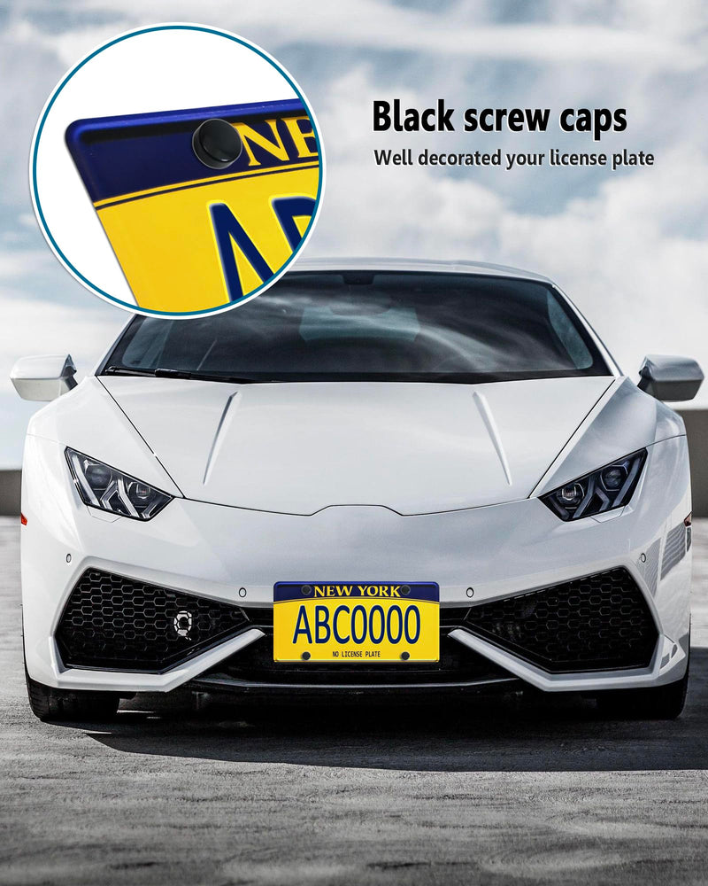 Black License Plate Screws- Rustproof Stainless Steel Car Tag Bolts, M6X16mm (1/4" X5/8") Fasteners Hardware- Phillips Machine Bolts Nuts Caps for Mounting Front or Rear Frame