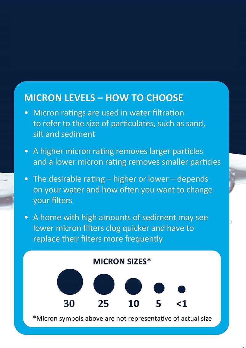 EcoPure EPW2B Whole House Replacement Filter, 2 Count (Pack of 4), White 1 Count (Pack of 8)