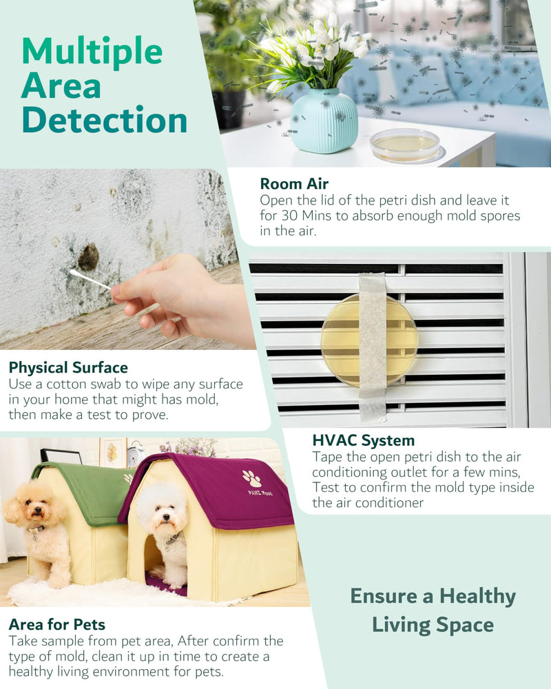 Mold Test Kit for Home - 4 Easy Detection Tests for HVAC, Surfaces & Indoor Air Quality, DIY Black Mold Detector Testing Kit at Home, with Detailed Identification Aid & 5 x Magnifying