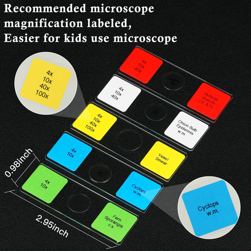 Microscope Slides with Specimens for Kids, 60 Lab-Grade Prepared Microscope Slides, Animal/Plant/Microbe/Tissue Samples, STEM Biology Kit for Homeschool, Classroom Labs & Science Education Ages 8+