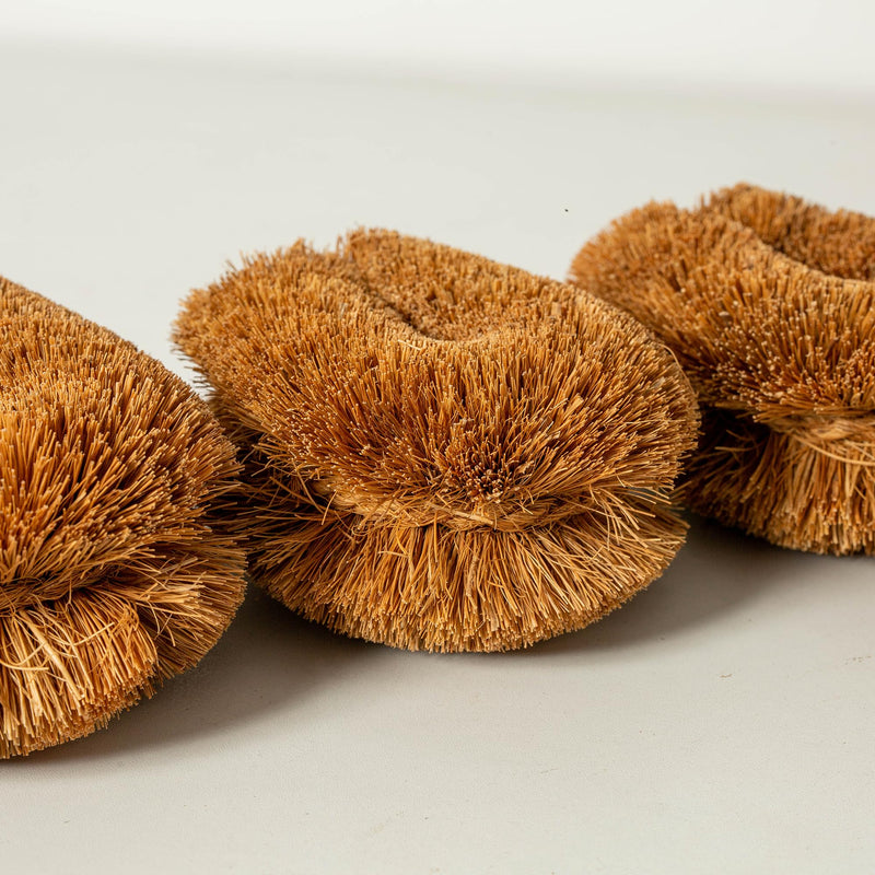Pack of 6 Tawashi 100% Natural Coconut Coir Fiber Brush, Vegetable Scrub Brush, Ideal for Fruit Scrub, Kitchen Cleaning Needs, Kamenoko Japanese Design