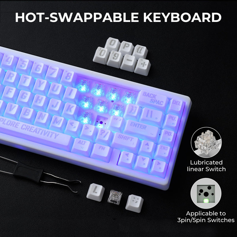 XVX M67 Wireless 60% Percent Keyboard, QMK/VIA Topographic Gaming Keyboard, Tri-Mode Thocky Creamy Mechanical Key Board, Hot Swappable Gasket Mount RGB IMD Tech for Win/Mac, Miami Theme, White