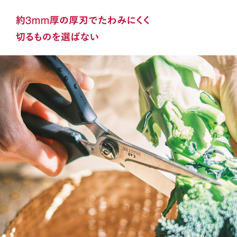 Kitchen Scissors (DH-3005) サイズ：1.5×21.3×9cm