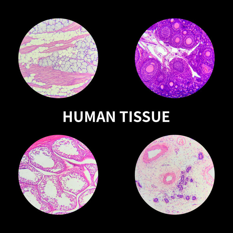 Prepared Microscope Slides with Specimens 100Pcs for Kids Students Science | Animal Plant Insect Specimens, Optical Glass with Labels, STEM Kit for Homeschool Classroom Lab & Science Education