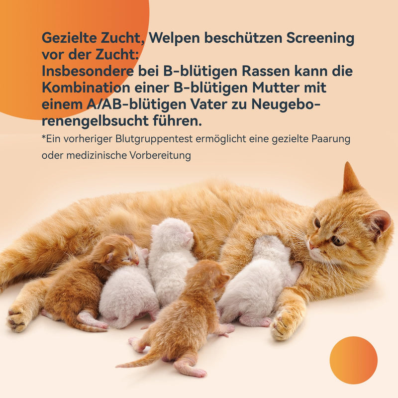 ALEVEPET FAST Cat Blood Group Test Kit Blood Type Cat A/B/AB for Breeding Blood Transfusion 2 Tests