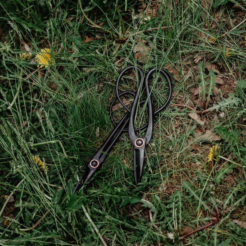 Barebones Artisan Pruning Shears - Gardening Shears and Herb Scissors - Essential Gardening Tools for Herb Gardens and Planting - Rust-resistant Garden Clippers