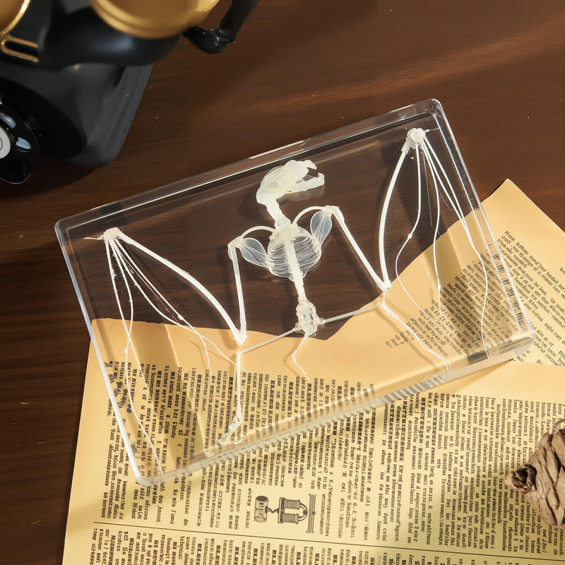 Taxidermy Bat and Real Bat Specimens Mounted in Resin, Ideal Gift for Fans of Taxidermy, Animal Skulls, Oddities, and Biology (Bat Skeleton (5.3x3.5x1.3 Inch)) Bat Skeleton (5.3x3.5x1.3 Inch)