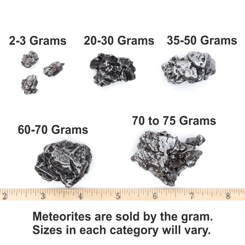 DANCING BEAR Real Meteorite Extra Large (60-70g) Genuine from Campo Del Cielo Argentina, Certificate of Authenticity, Display Stand, ID Card, Space Rock, Assembled in The USA 60-70g