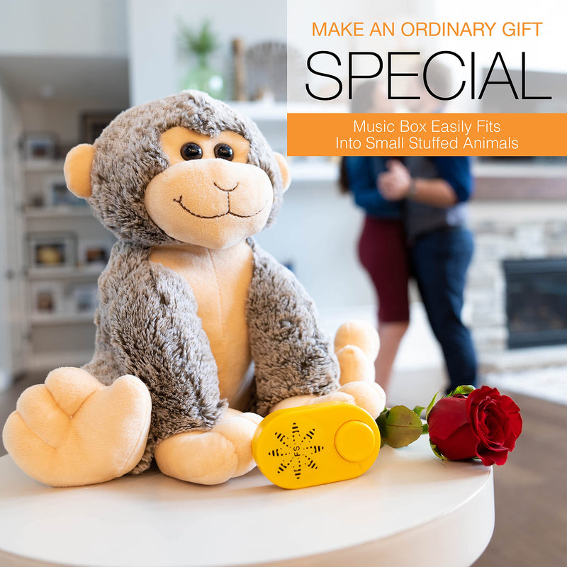 Friendly Songs Voice Recorder for Stuffed Animal - 2 Hours (7200 sec) of Audio in a Deluxe Recordable Button Voice Box, Voice Recorder with Playback and Volume Control