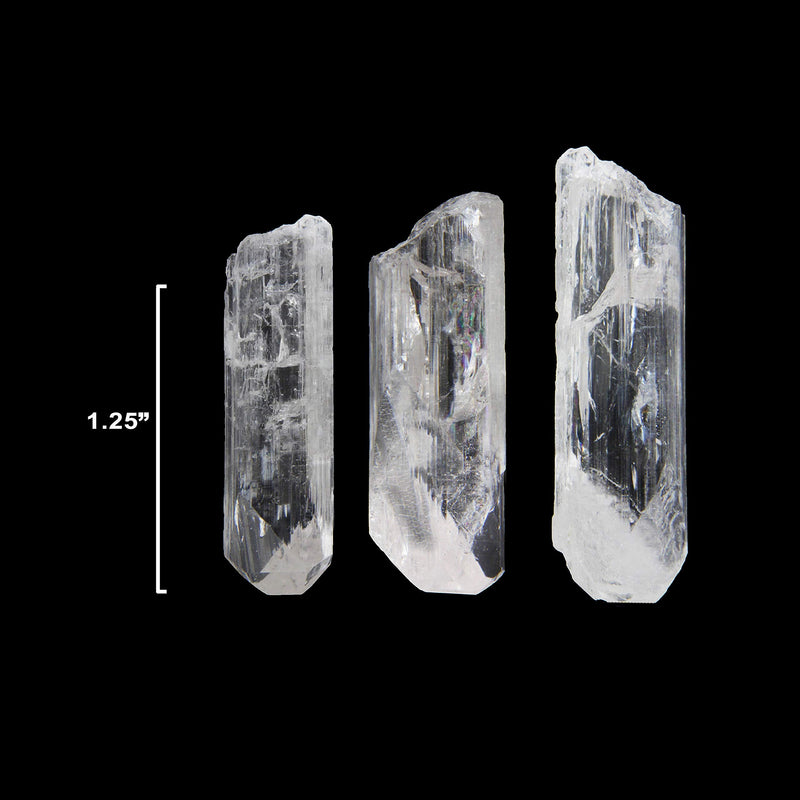 Starborn Natural Danburite Crystals Loose Danburite L