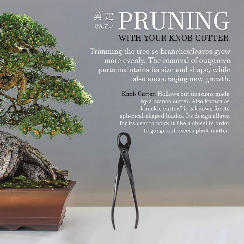 BambooMN Bonsai Tool Kit - 8" Concave Cutter & 8" Knob Cutter - 1 Set Concave Cutter & Knob Cutter Set