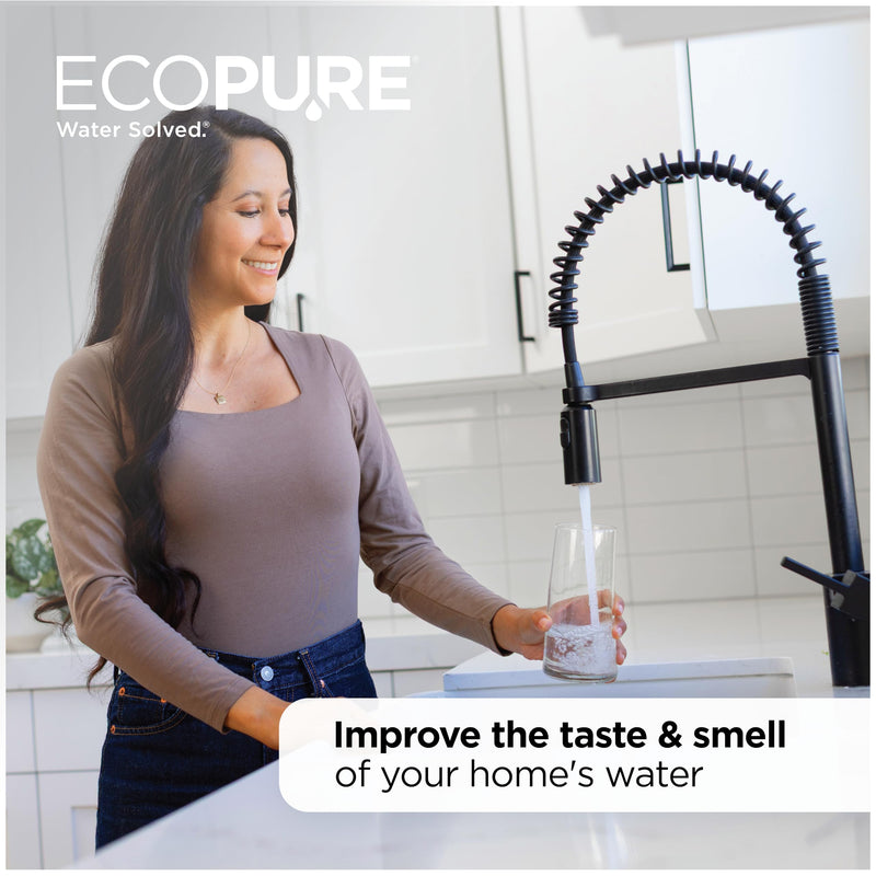 EcoPure EPW2F Premium Fact Universal Whole Home Filter (4 Pack), 1 Count (Pack of 2), Dark Gray/Black Premium Carbon Filter 1 Count (Pack of 4)
