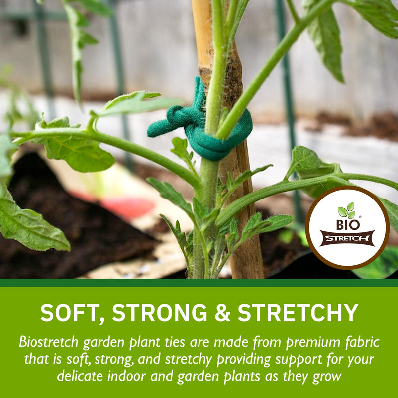 Soft Garden Plant Ties for Indoor & Outdoor Plants - Strong & Stretchy Cut-to-Length Plant Tape for Climbing Plants, Tomato Vines & Home Gardening (656 ft / 200M) 656 ft / 200M
