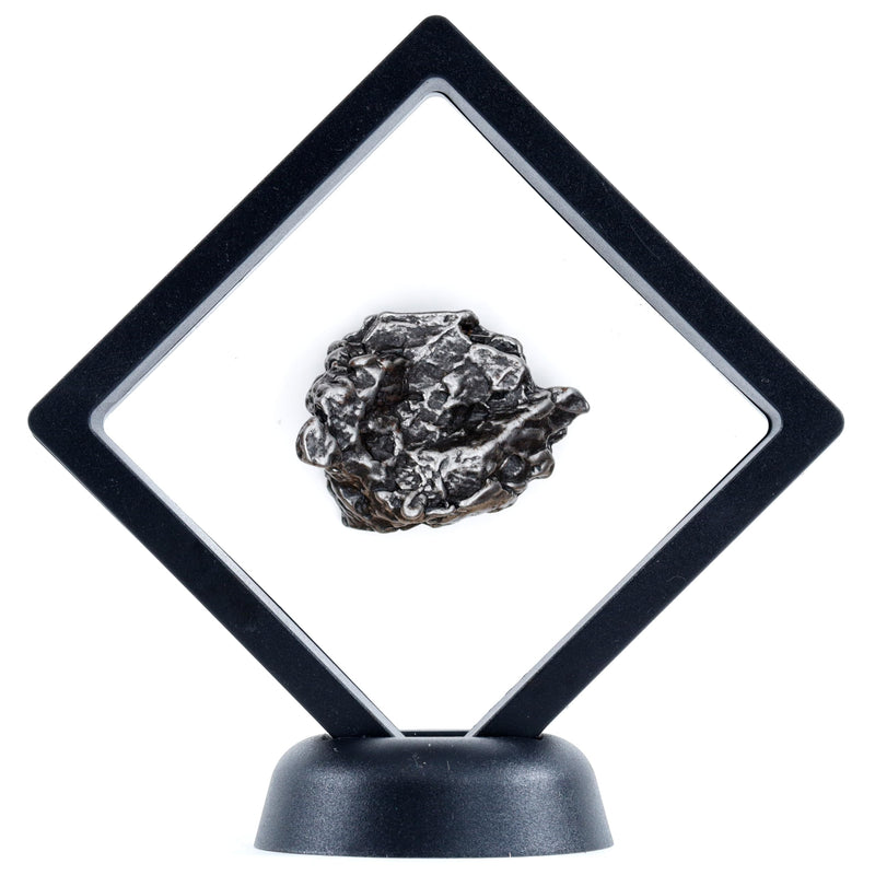 DANCING BEAR Real Meteorite Extra Large (60-70g) Genuine from Campo Del Cielo Argentina, Certificate of Authenticity, Display Stand, ID Card, Space Rock, Assembled in The USA 60-70g