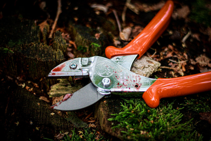 Original LÖWE Professional Hunting Shears 1.117 | Robust Anvil Scissors as Alternative for Hunting Knives | Use For Game & Meat Processing, Bone Cutting & Pruning | Carbon Steel | Made in Germany Hunting Scissors 1.117 - Classic