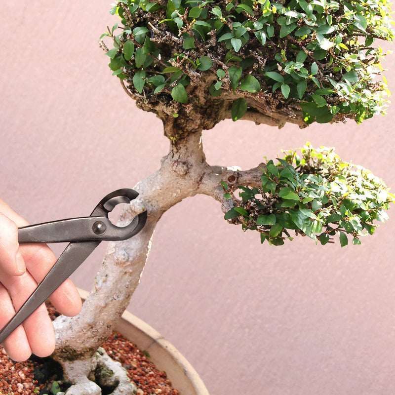 BambooMN Bonsai Tool Kit - 8" Concave Cutter & 8" Knob Cutter - 1 Set Concave Cutter & Knob Cutter Set