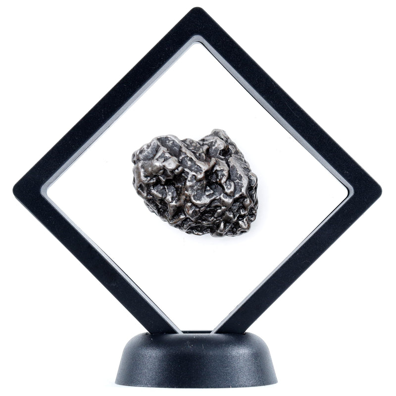 DANCING BEAR Real Meteorite Extra Large (60-70g) Genuine from Campo Del Cielo Argentina, Certificate of Authenticity, Display Stand, ID Card, Space Rock, Assembled in The USA 60-70g