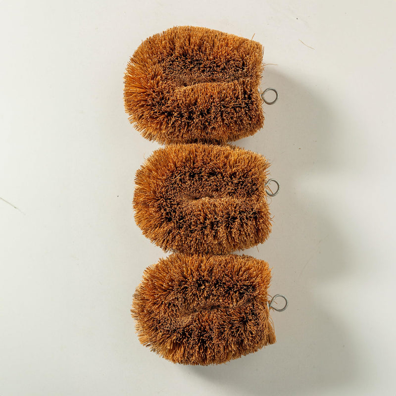 Pack of 6 Tawashi 100% Natural Coconut Coir Fiber Brush, Vegetable Scrub Brush, Ideal for Fruit Scrub, Kitchen Cleaning Needs, Kamenoko Japanese Design