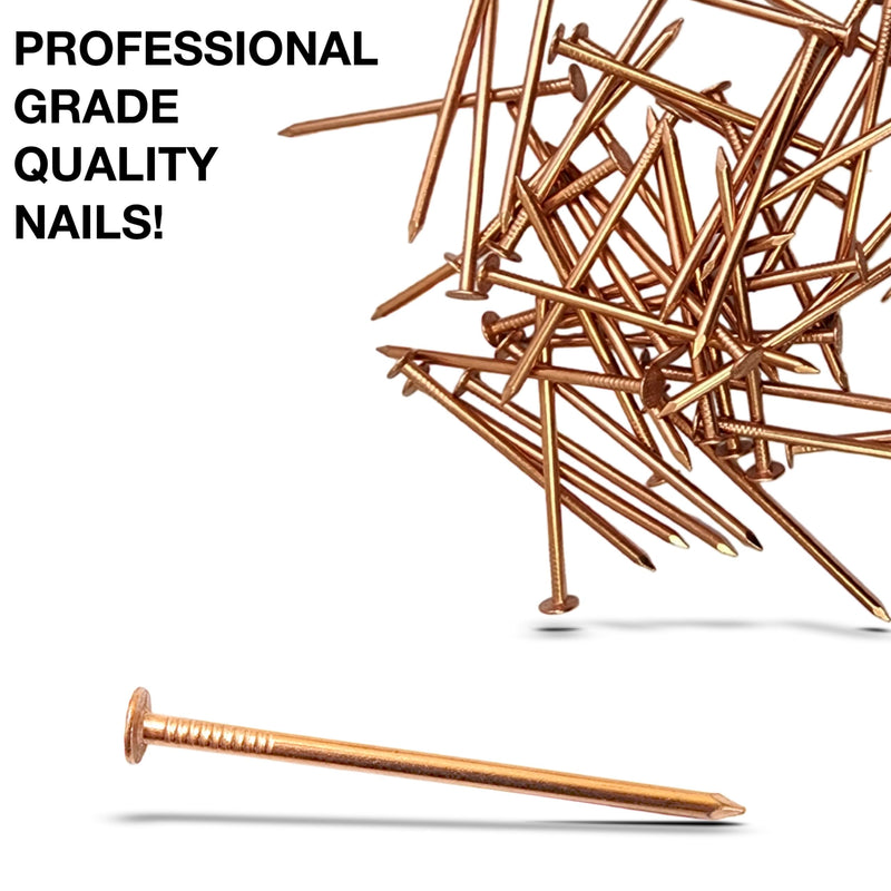 40 Pack 3 Inch USA MADE Copper Nails Pack - Pure Copper Nail Spikes USA Made - Solid Reliable Used for Trees, Stumps, Landscaping, and Hobbies (40) 40