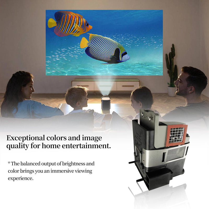 RLC-061 Replacement Projector Lamp Bulb Compatible with Viewsonic Pro8200 Pro8300, Projector Lamp Bulb with Housing RLC-061