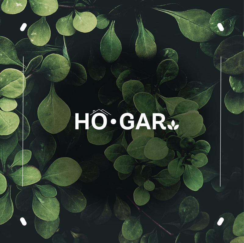 HO.GAR Premium Titanium Bypass Pruning Shears Kit: Heavy Duty Professional Hand Pruners, Gardening Scissors, Ergonomic Secateurs. Includes Blade and Spring Replacement + Pouch + Carabiner