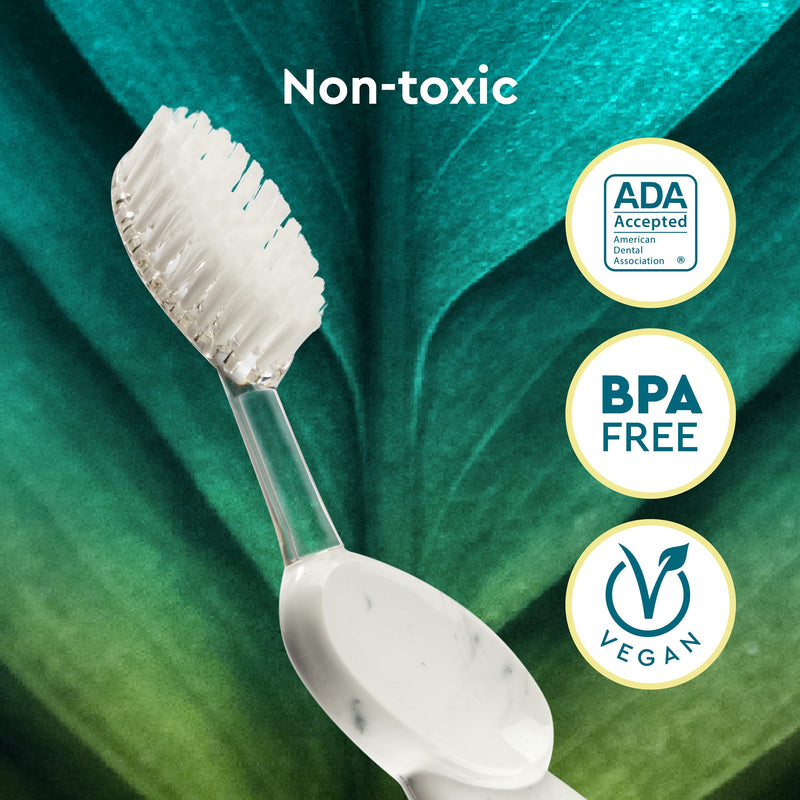 RADIUS Big Brush BPA Free & ADA Accepted Toothbrush Designed to Improve Gum Health & Reduce Gum Issues - Right Hand - Midnight Sky/ Marble/ Soda Pop Eco Grind - 3 count (pack of 1) Midnight Sky/Marble/Soda Pop Eco Grind 1 Count (Pack of 3)