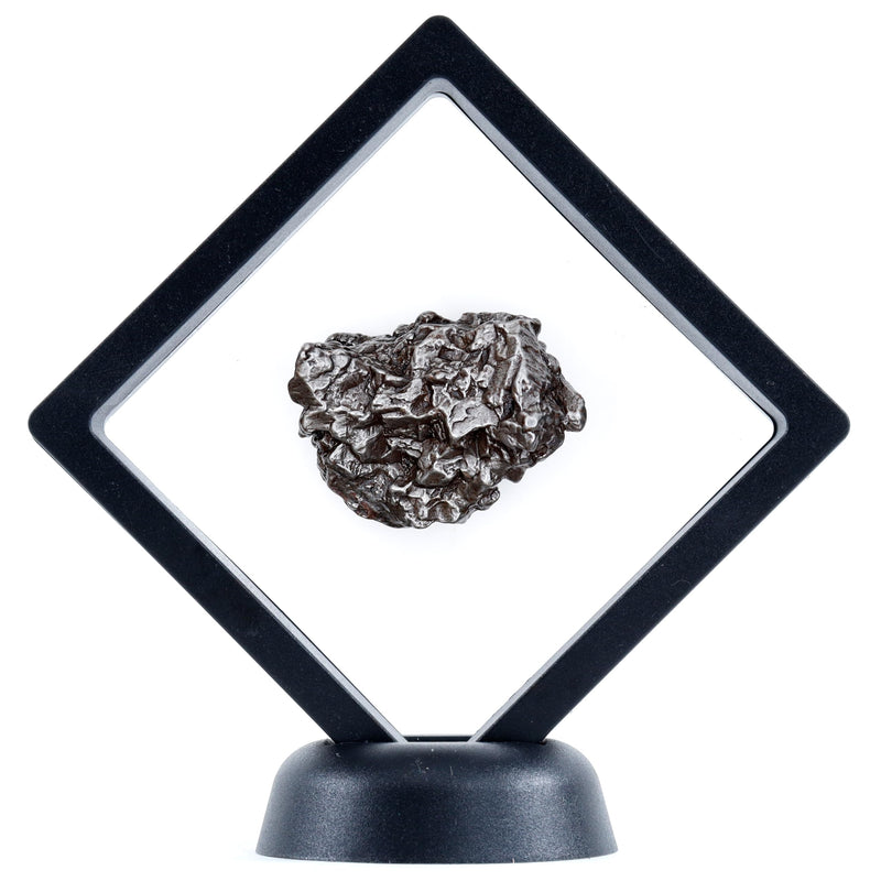 DANCING BEAR Real Meteorite Extra Large (60-70g) Genuine from Campo Del Cielo Argentina, Certificate of Authenticity, Display Stand, ID Card, Space Rock, Assembled in The USA 60-70g