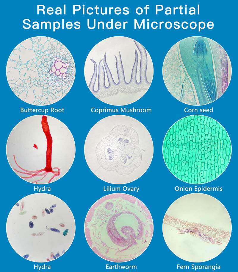 Microscope Slides with Specimens for Kids, 60 Lab-Grade Prepared Microscope Slides, Animal/Plant/Microbe/Tissue Samples, STEM Biology Kit for Homeschool, Classroom Labs & Science Education Ages 8+