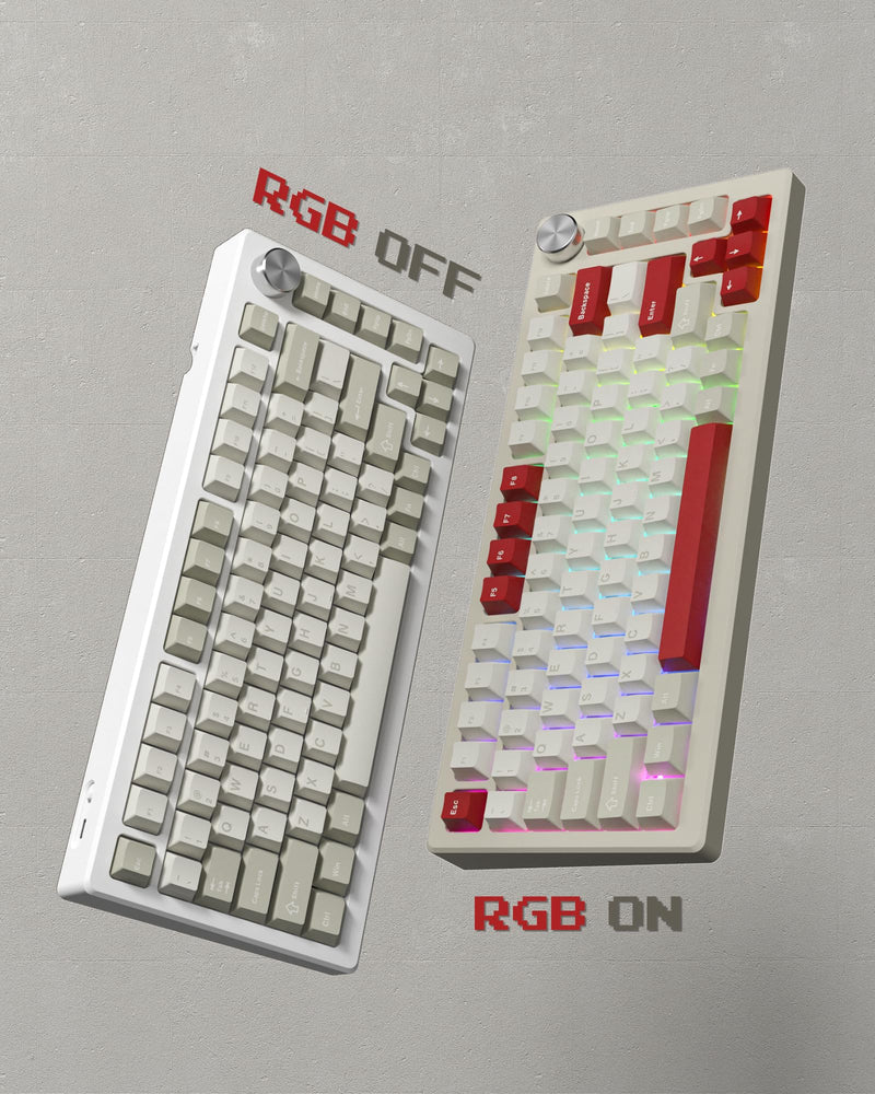 Womier Keycaps, Custom PBT Doubleshot Keycaps 60 65 75 100 Percent, Cherry Profile Retro Keycaps, 61/64/68/84/87/100/104/108 Gaming Mechanical Keyboard Keycaps, 132 Keys Keycaps Set (Vintage Grey) Vintage Grey