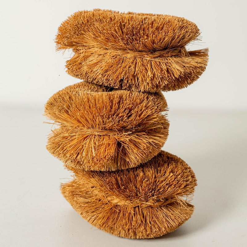 Pack of 6 Tawashi 100% Natural Coconut Coir Fiber Brush, Vegetable Scrub Brush, Ideal for Fruit Scrub, Kitchen Cleaning Needs, Kamenoko Japanese Design