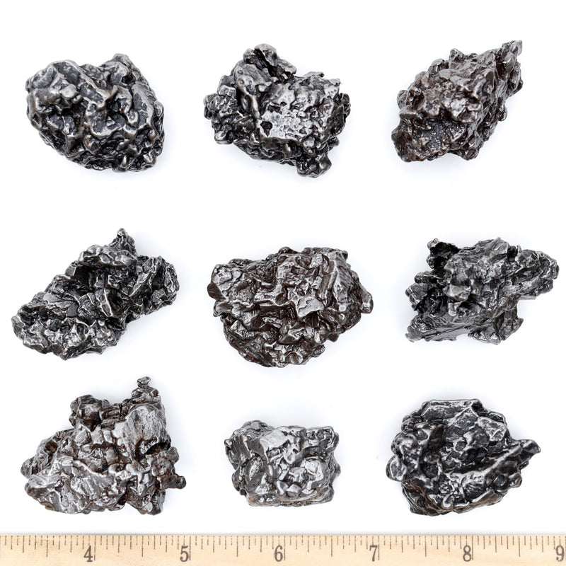 DANCING BEAR Real Meteorite Extra Large (60-70g) Genuine from Campo Del Cielo Argentina, Certificate of Authenticity, Display Stand, ID Card, Space Rock, Assembled in The USA 60-70g