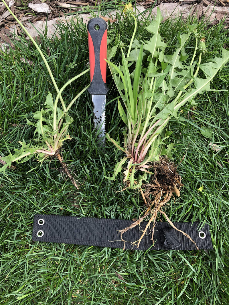 Keyfit Tools Weed Puller Weeding Knife for Deep Tap Root Weeds Like Dandelions, Crabgrass & Other Clump Grassy Weeds Stainless Steel Manual Weeder Get The Entire Root Great for Driveway & Sidewalks