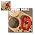 10 inch Hole Saw for Wood, Metal, Plastic & Drywall, with Arbor 10 in