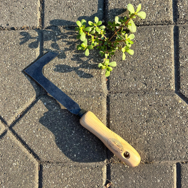 Dewit Short Handle Patio Knife – Premium Weeding Tool for Pavers | Tempered Boron Steel Blade | Ash Hardwood Handle | Eco-Friendly | 11" Length