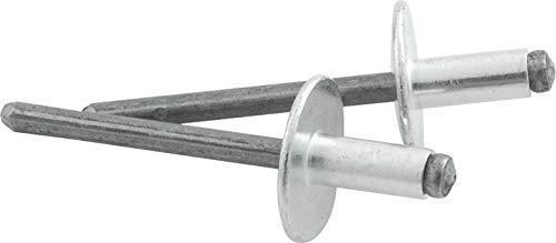 Allstar Performance ALL18141 1/8" - 1/4" Grip Range Large Head Rivet 1/8" to 1/4" Grip Steel