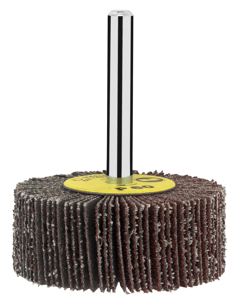 Bosch 2609256282 DIY Flap Grinder Diameter 50 x 20 mm G60 (1) 50 mm