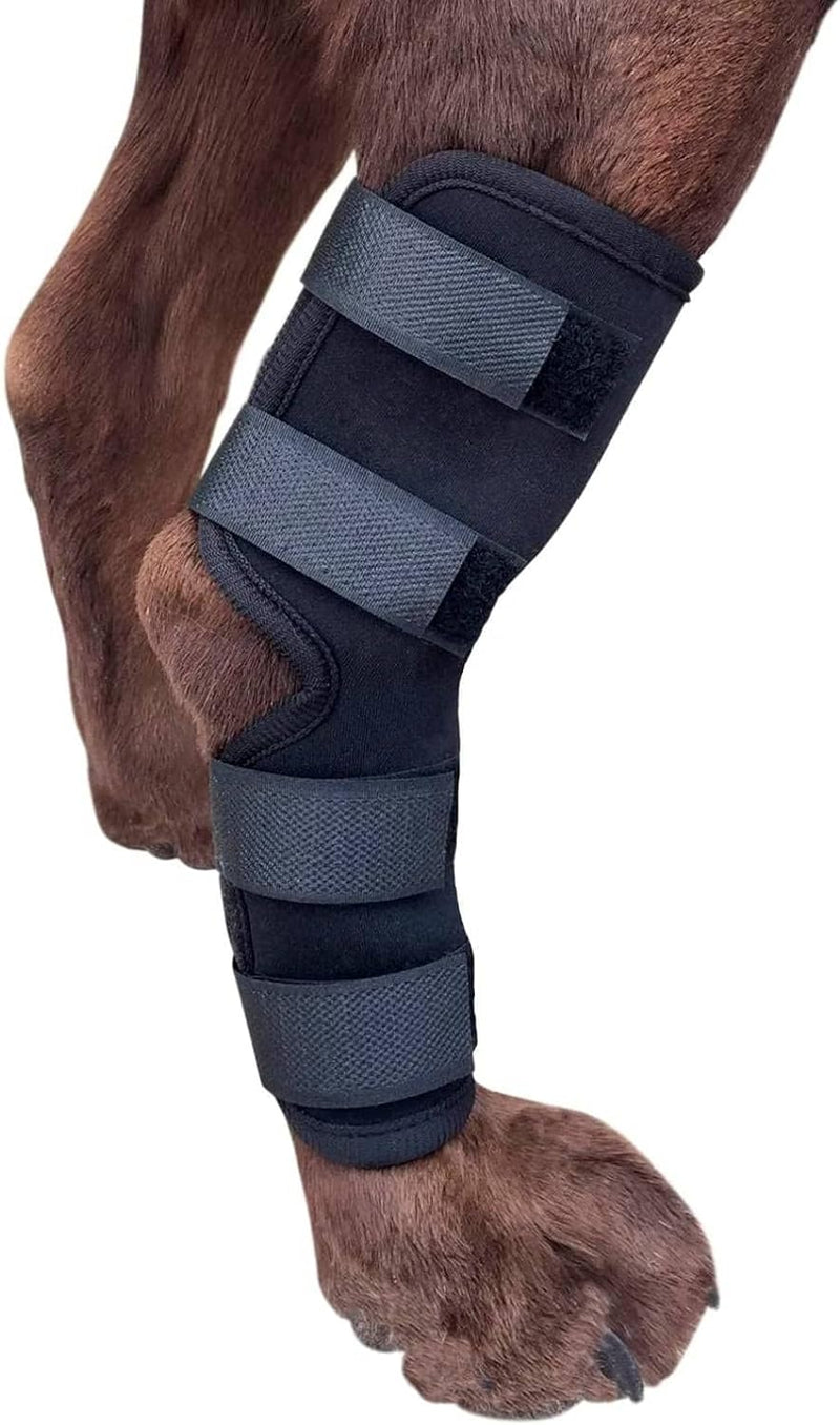Labra Extra Supportive Dog Canine Rear Leg Hock Joint Wrap Protects Wounds as They Heal Compression Brace Heals and Prevents Injuries and Sprains Helps Arthritis … Medium