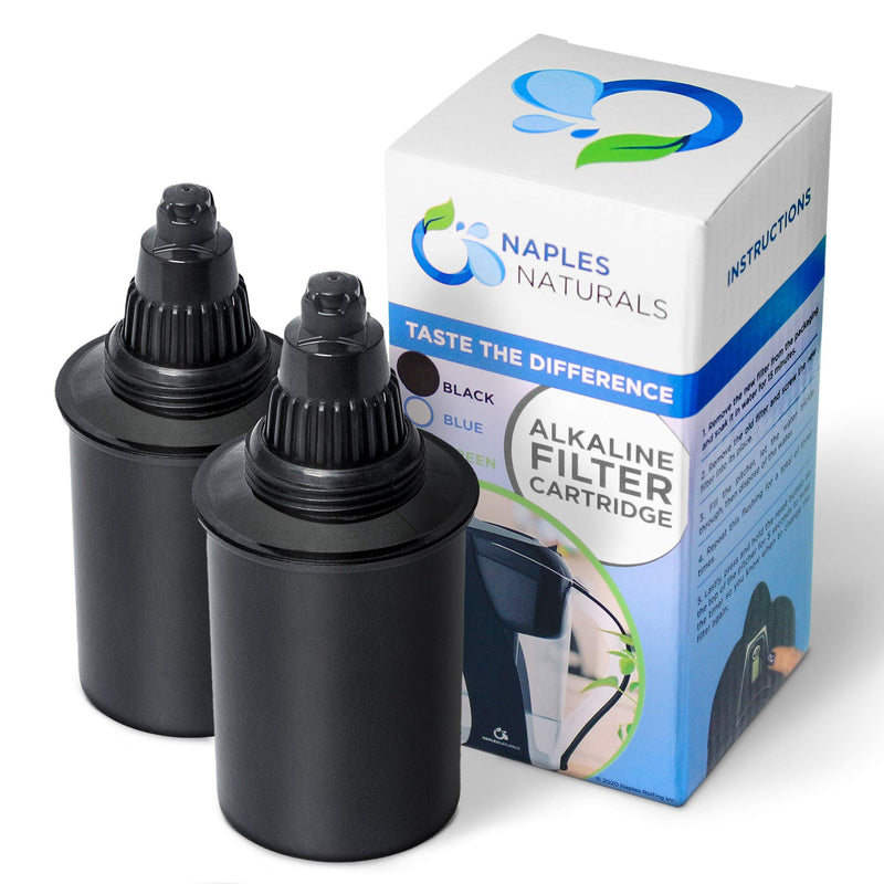 1089 Replacement Alkaline Filter for the 109 Water Pitcher 2-Pack Black 1089 X2 Replacement Filter