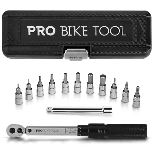 PRO BIKE TOOL 1/4 Inch Drive Click Torque Wrench Set - Precise 2 to 20 Nm Bike Tool Kit for Road and Mountain Bikes - Includes 1/4 Torque Wrench, Allen, Torx Bits, Extension Bar and Storage Box Silver