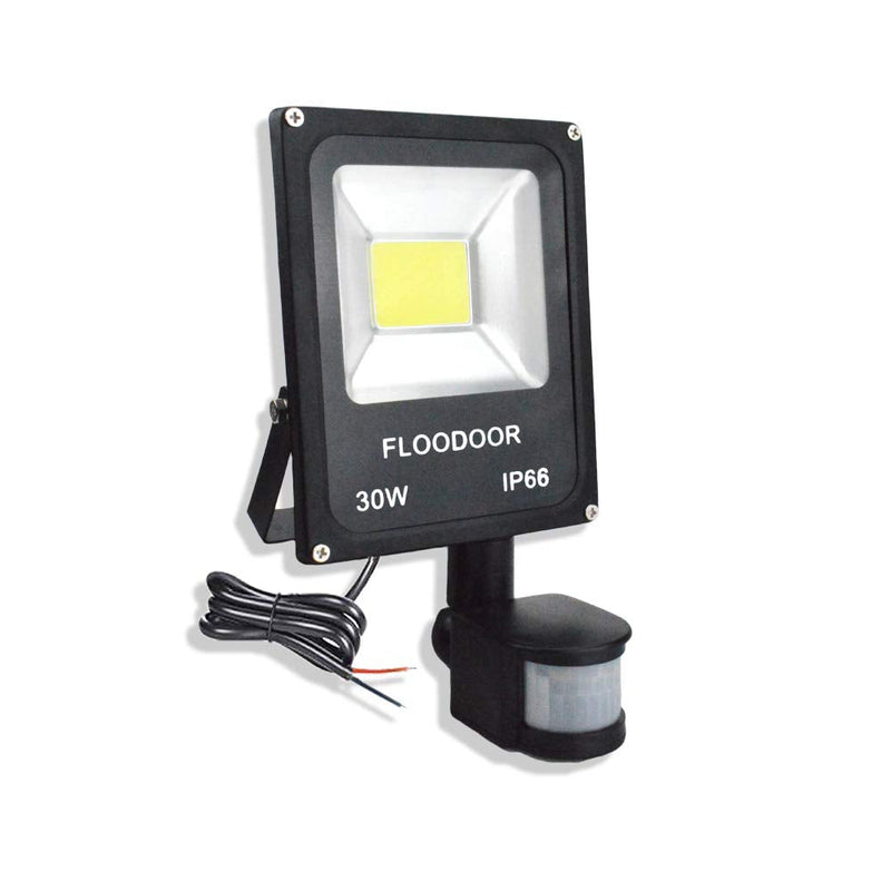30W LED Motion Sensor Light Outdoor Safety Waterproof 12-24V AC/DC IP66 Super Bright Floodlight, 6000K, Daylight White, 150W Bulb Equivalent, 2700LM, PIR Intelligent Sensor Light (No Plug)