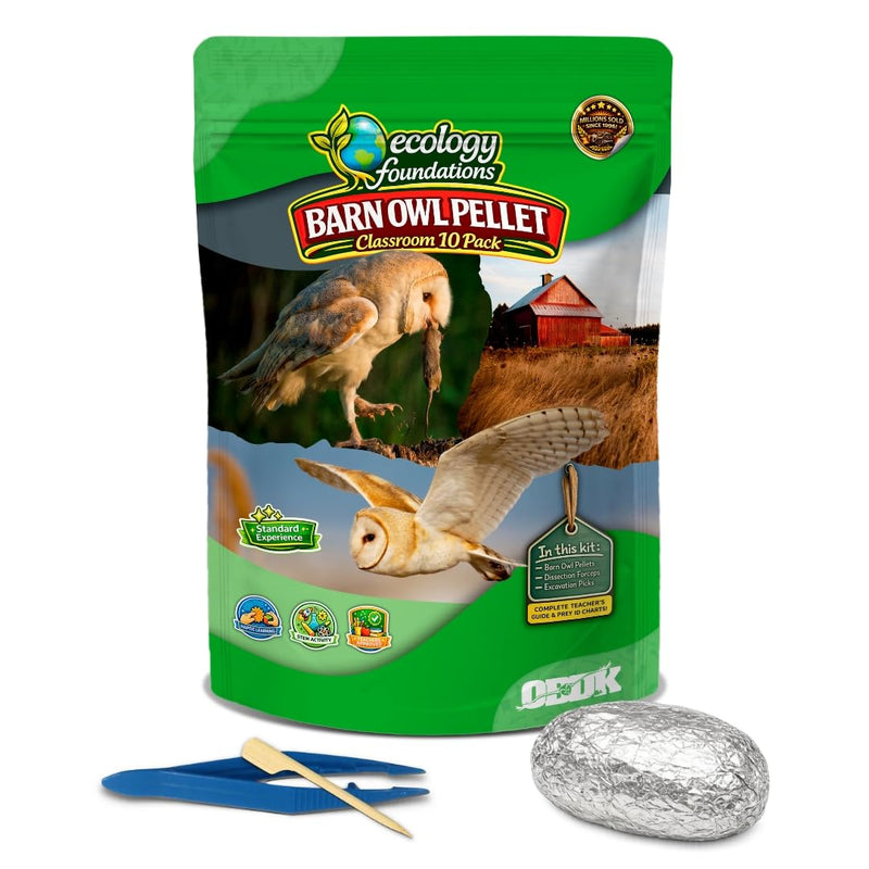 Barn Owl Pellets Classroom 10 Pack (Medium) – Dissection Kit for Ecology & STEM – Includes Forceps, Picks & Teacher Guide – Hands-On Science Activity