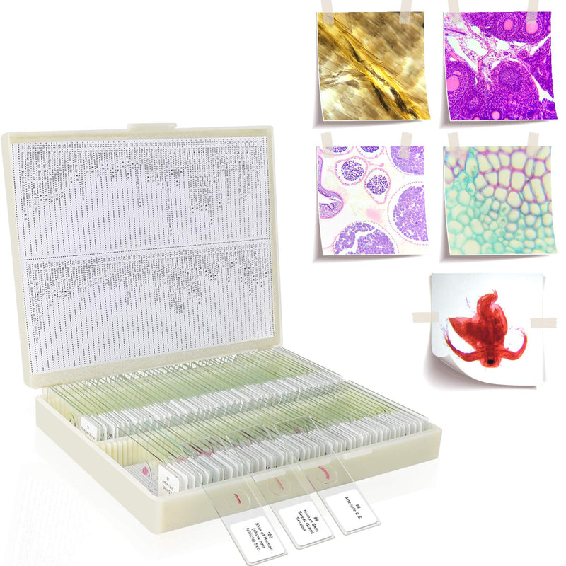 Prepared Microscope Slides with Specimens 100Pcs for Kids Students Science | Animal Plant Insect Specimens, Optical Glass with Labels, STEM Kit for Homeschool Classroom Lab & Science Education