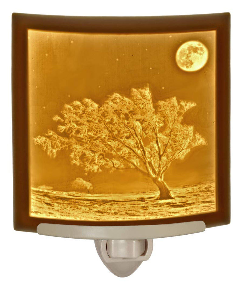 The Porcelain Garden Moon Night Light-Porcelain Lithophane Frosty Moon, Wall Plug in for Nursery, Kitchen, Bath, Nature Accent Light