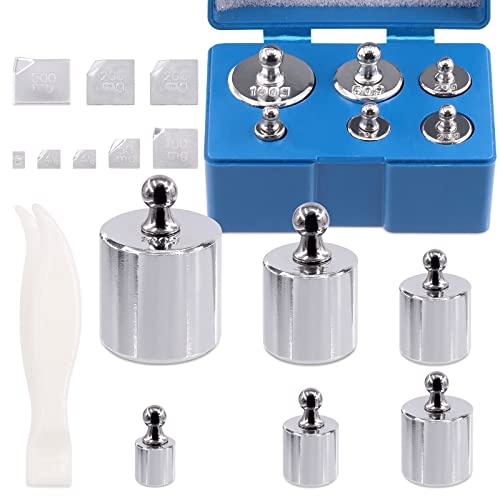 Precision Calibration Weight Set 10mg to 500mg 5g to 100g Steel Weights Calibration with Tweezers for Digital Scale Jewelry Scale M2 Class (Total 200g)