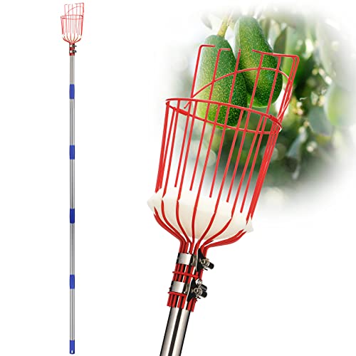 DonSail DnSail Fruit Picker Pole Tool with Basket Telescoping - Adjustable Mango Picker 35-68 inch Long Handle - Apple Orange Avocado Acorn Lemon Pear Pomelo Chery Picker for Tree 35-68"