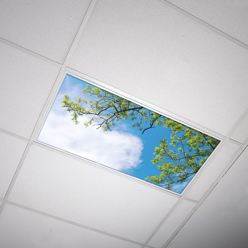 OCTO LIGHTS Tree Fluorescent Light Covers 2x4 Fixtures (22.38" x 46.5") Ceiling Light Cover for Classroom and Office, Decorative Light Covers for Ceiling Lights, Office Light Covers - (Pack of 1) Blue Sky Acacia Tree 1pk