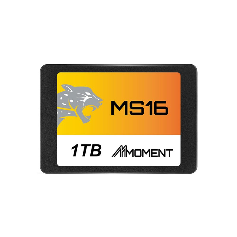 MMOMENT MS16 1TB 2.5 Inch SATA III 6 GB/s Internal Solid State Drive SSD (Read up to 550MB/s) Compatible with PC Desktop 2.5 in
