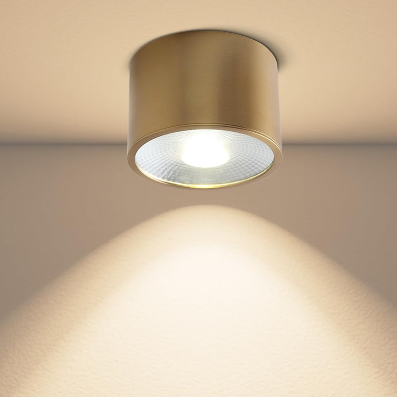 Sedelan Brass Ceiling Spot Lights Indoor, LED Ceiling Spot Light, Cylinder Small Ceiling Spotlight, Dimmable Ceiling Lights for Kitchen Hallway Dining Room Foyer, 4500K 7W LED Light-D4.72"